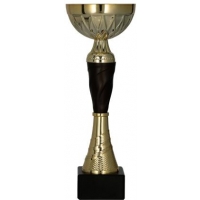 Puchar 24,5 cm