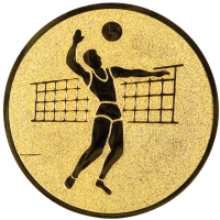 Emblemat SIATKÓWKA 25mm