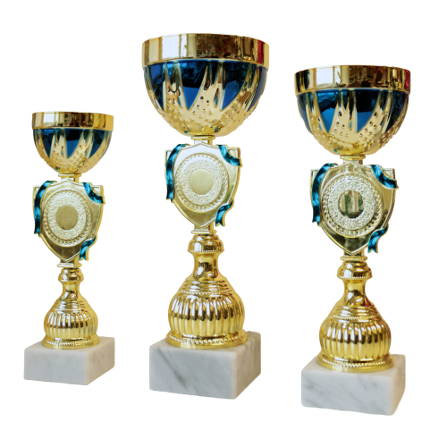 Komplet pucharów 25-31 cm