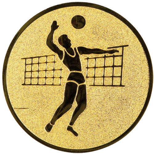 Emblemat SIATKÓWKA 25mm